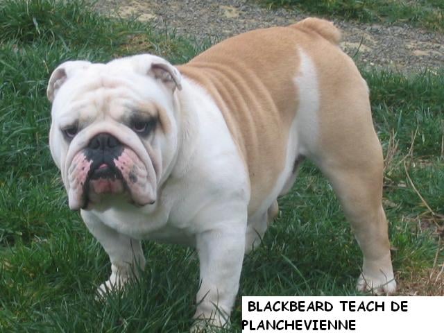 Publication : du soleil et de la lune Auteur : Patricia Rutkowski