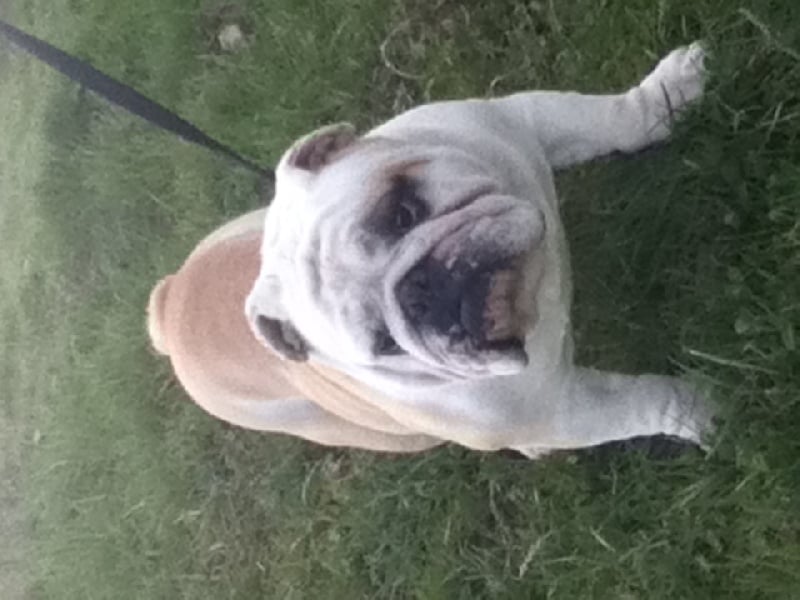 Publication : du soleil et de la lune Auteur : Patricia Rutkowski