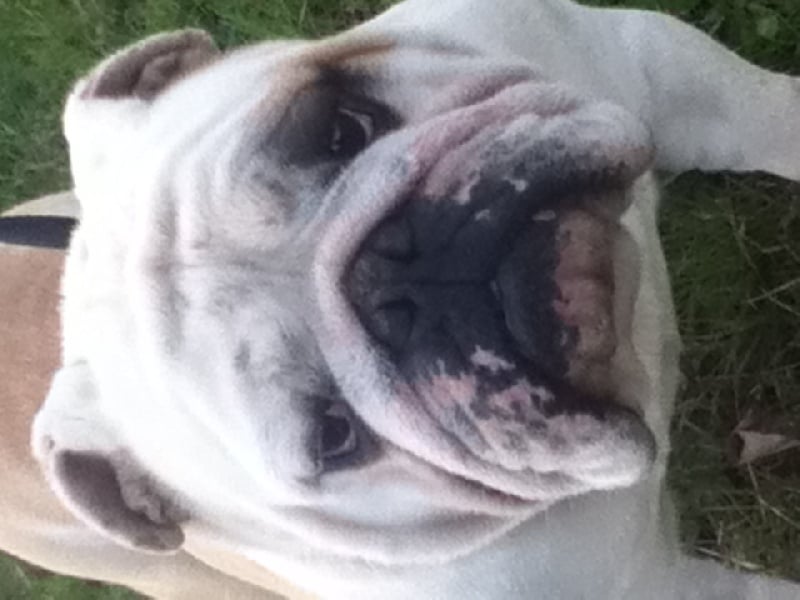 Publication : du soleil et de la lune Auteur : Patricia Rutkowski