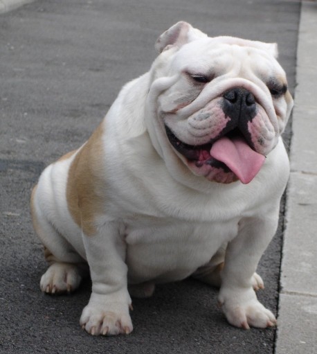 Publication : du soleil et de la lune Auteur : Patricia Rutkowski