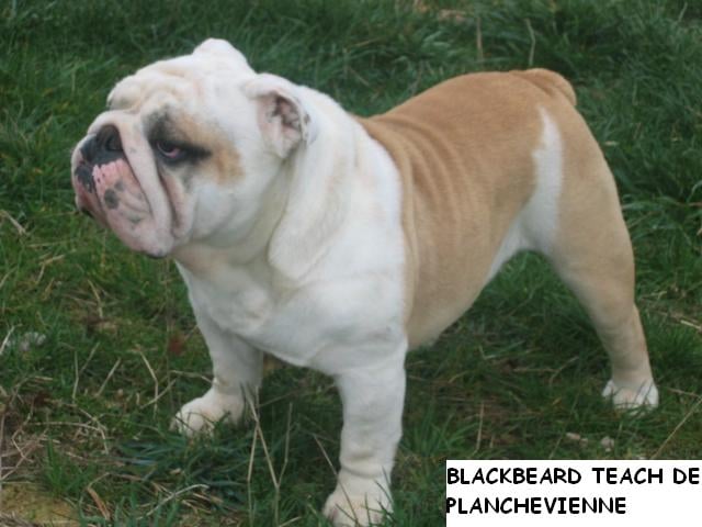 Publication : du soleil et de la lune Auteur : Patricia Rutkowski