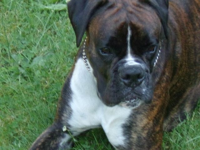 Junior des Sources du Fond de Laye - 2EME EXCELLENT