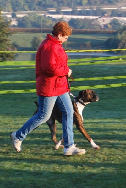 Fargo des Sources du Fond de Laye - 1ER TRES BON