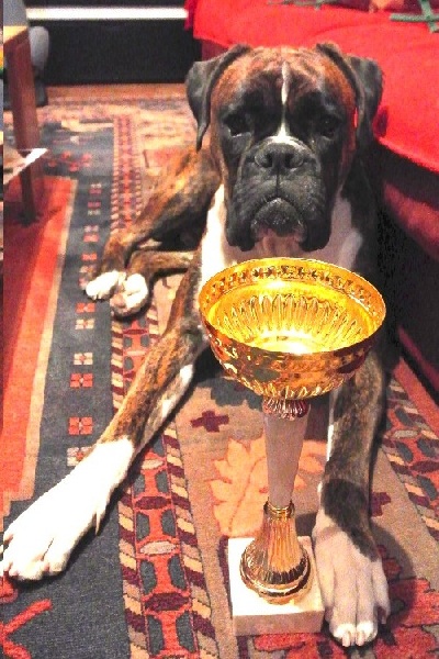 Fargo des Sources du Fond de Laye - 4eme TRES BON + CONFIRME