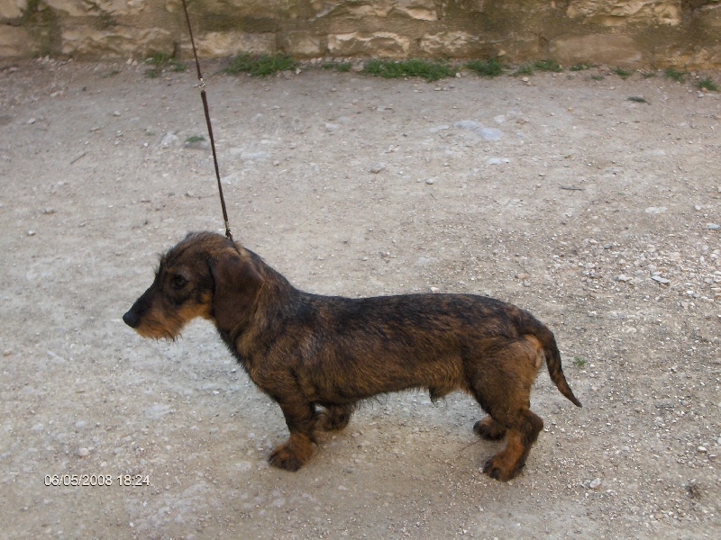 Champagne des Amis de Bruce