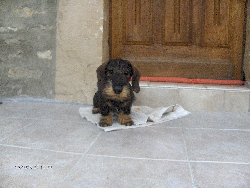 Champagne des Amis de Bruce