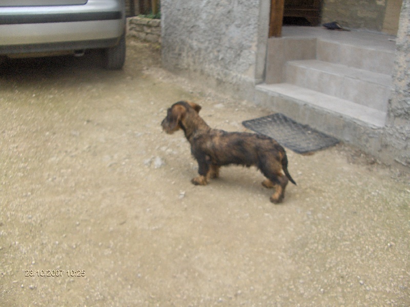 Champagne des Amis de Bruce