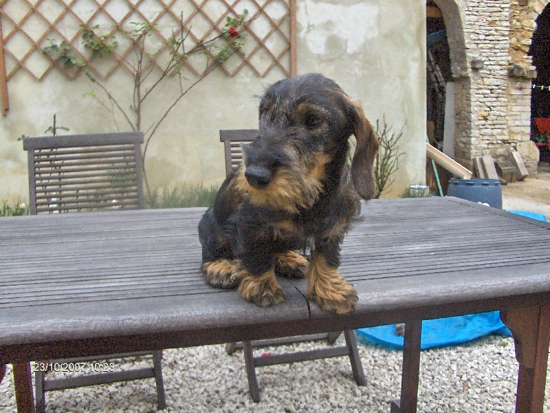 Champagne des Amis de Bruce