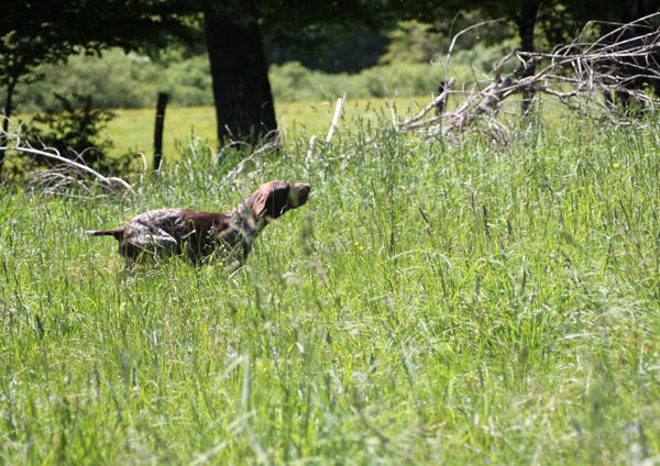 Publication : du Clos de la Muyde Auteur : la muyde