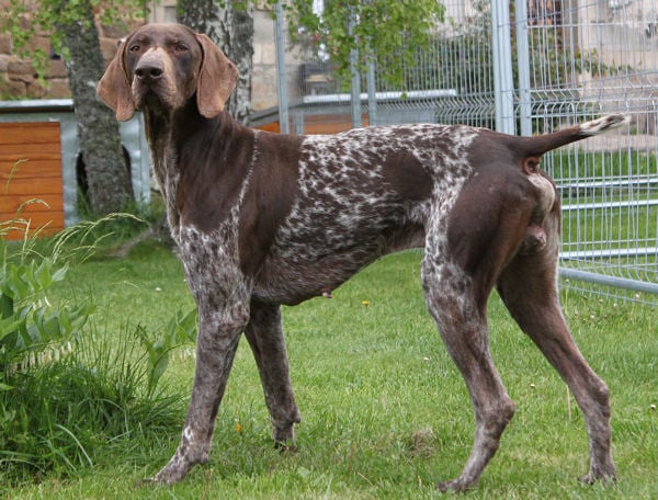 Publication : du Clos de la Muyde Auteur : la muyde