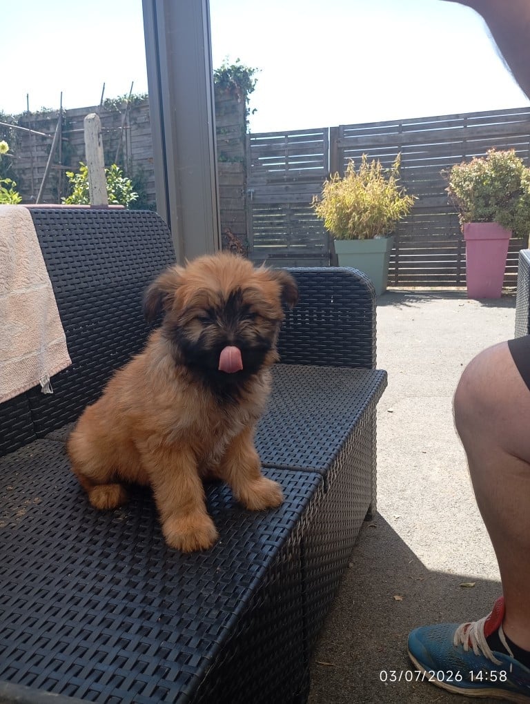 bilbo