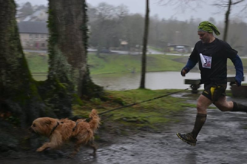 Joucla des Malicieux Germéco - aucune