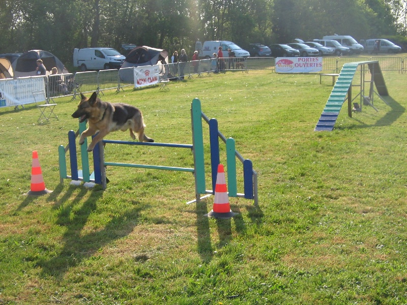 Burkina des Malicieux Germéco - 10 ieme place au championnat