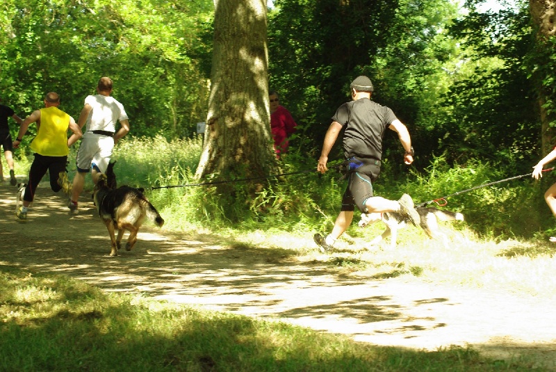 Burkina des Malicieux Germéco - 4 seniors