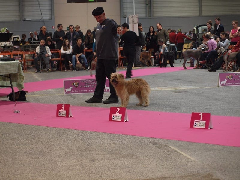 Joucla des Malicieux Germéco - 3 ieme excellent classe intermediare