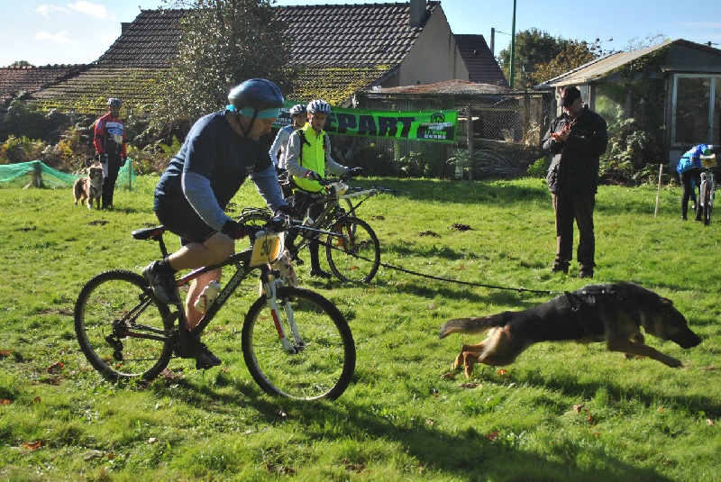 Foscari des Malicieux Germéco - 1 veteran homme