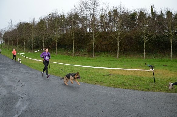 Faenza des Malicieux Germéco - aucune