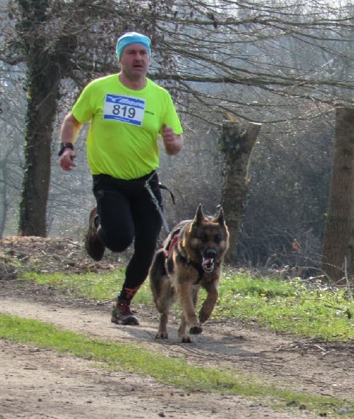 Foscari des Malicieux Germéco - aucune