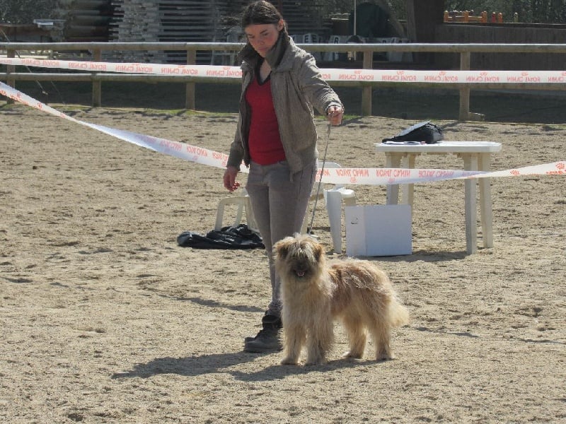 Joucla des Malicieux Germéco - 2 ieme excellent en classe jeune + confirmation