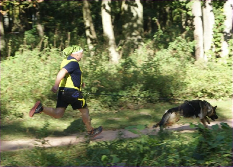 Foscari des Malicieux Germéco - aucune