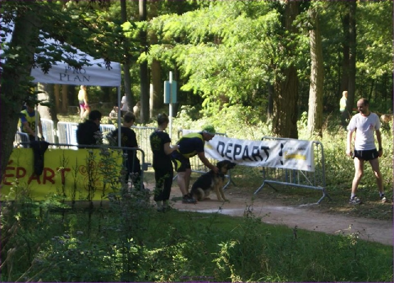 Foscari des Malicieux Germéco - aucune