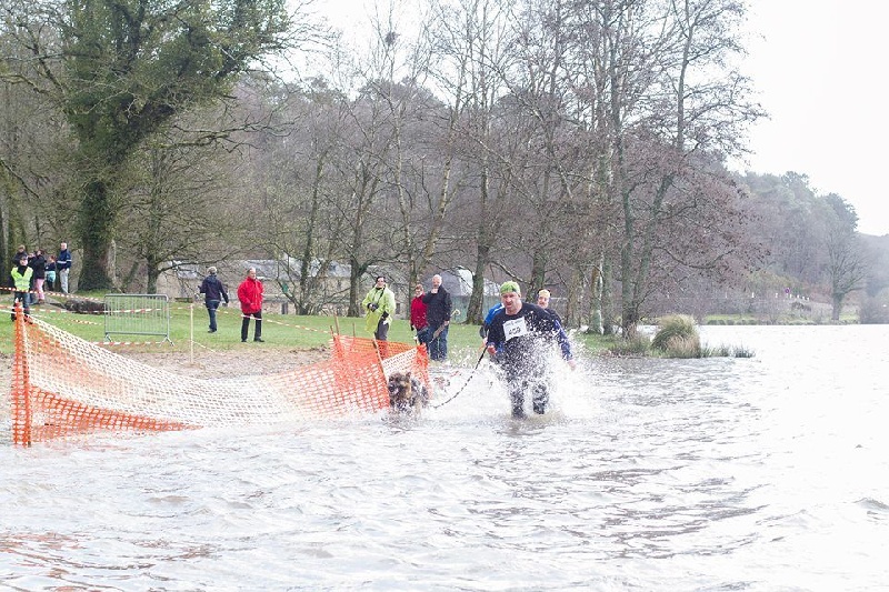 Burkina des Malicieux Germéco - 6 ieme v1