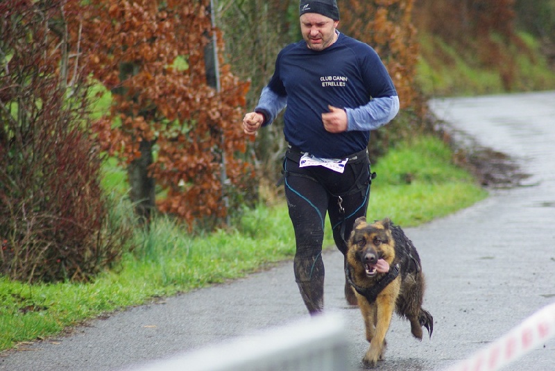 Foscari des Malicieux Germéco - aucune