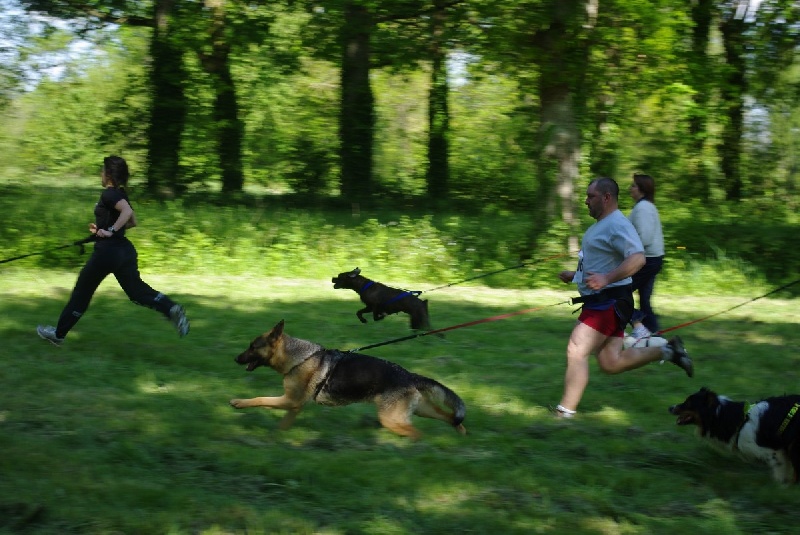 Burkina des Malicieux Germéco - 10ieme sur 13evec un temps de 14min et 43sec