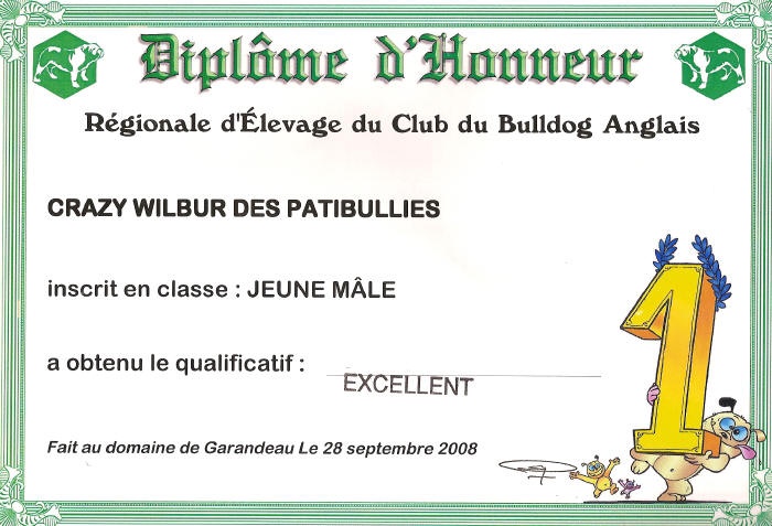 Crazy wilbur Des patibullies - T.A.N + EXCELLENT en classe jeune
