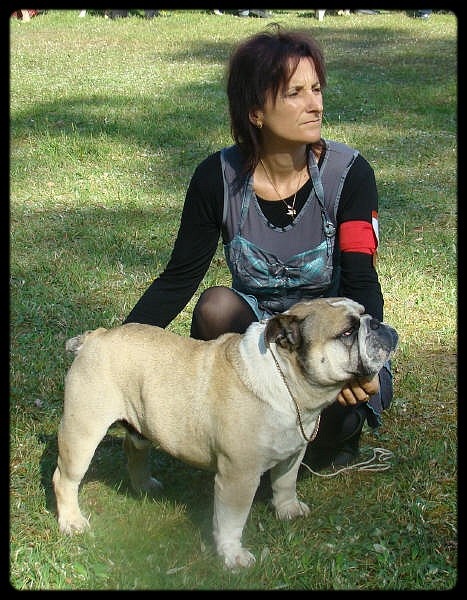 Crazy wilbur Des patibullies - EXCELLENT