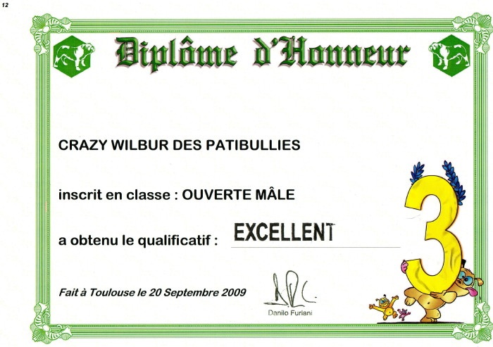 Crazy wilbur Des patibullies - EXCELLENT en classe ouverte
