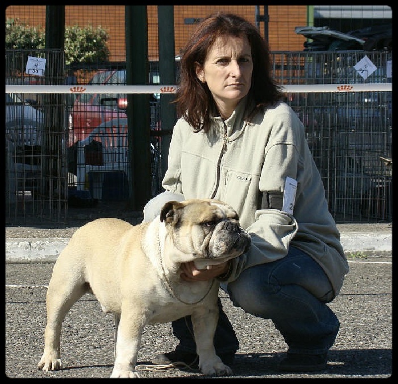 Crazy wilbur Des patibullies - 1ER EXCELLENT - CACS - BOB