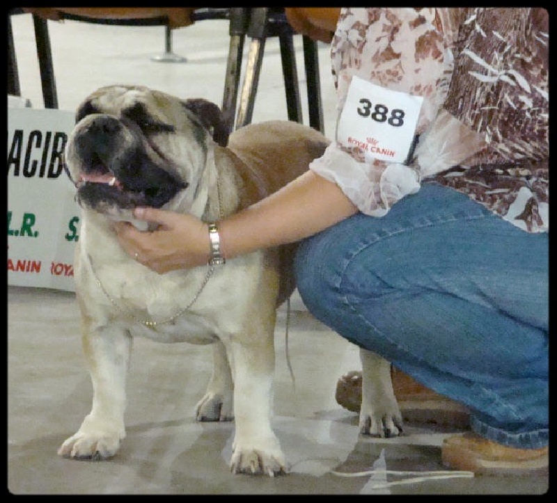 Crazy wilbur Des patibullies - .2éme Excellente en classe jeune male