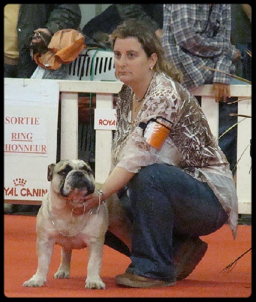 Crazy wilbur Des patibullies - 1 Excellent - MEILLEUR JEUNE