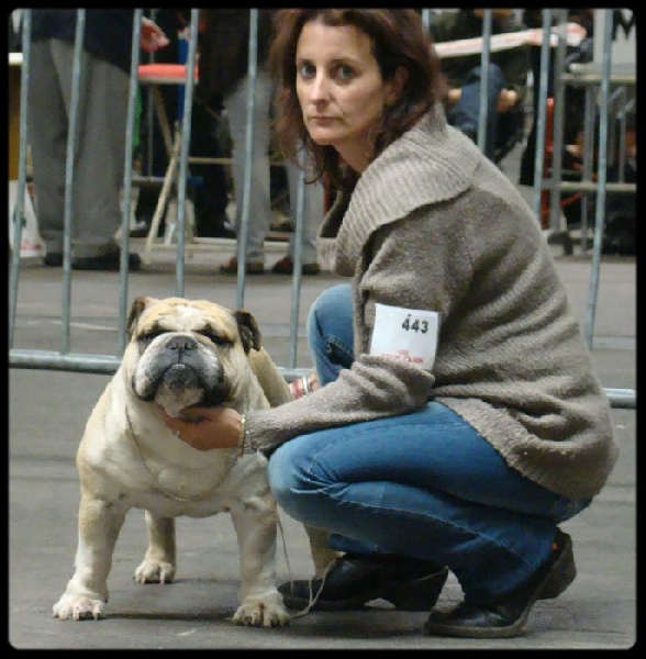 Crazy wilbur Des patibullies - 1er EX / RCACIB / RCACS