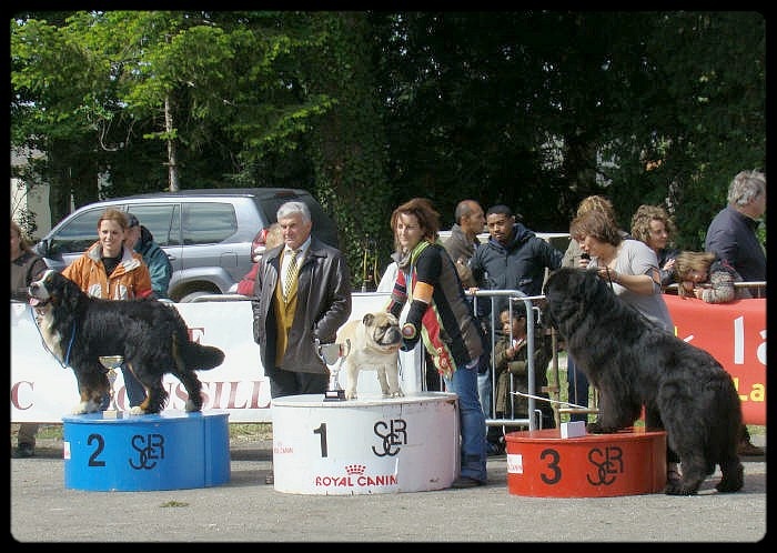 Crazy wilbur Des patibullies - 1er EX / CACS / MR / 1ER DU 2EME GROUPE