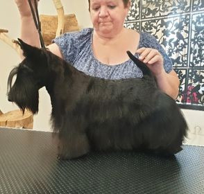 MIESCHIEVOUS GIRL NICE( DITE PINKY) Titre Initial