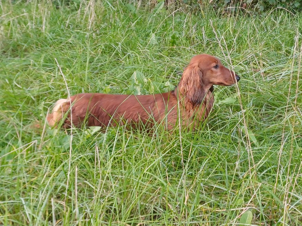 Una bella canzone Du cap des embruns