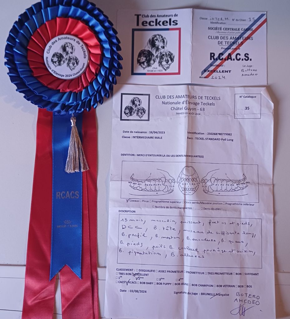 Urbie (dit urijah) van der wijsterhoeve - 2 ème Excellent RCACS