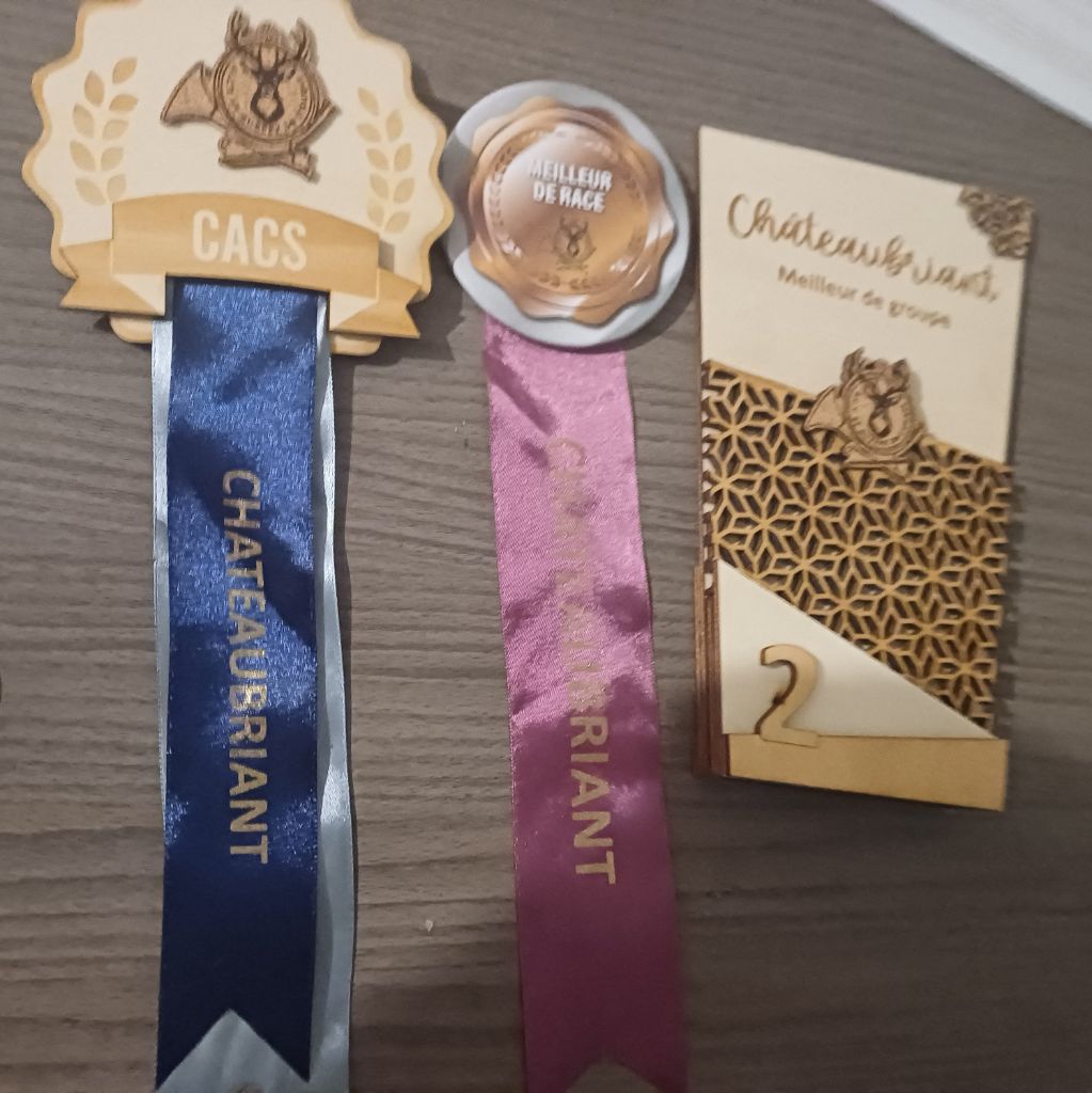 Urbie (dit urijah) van der wijsterhoeve - 1er excellent CACS meilleur de race & 2 ème meilleur de groupe (Ring d'honneur)