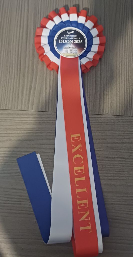 Urbie (dit urijah) van der wijsterhoeve - 4 ème Excellent