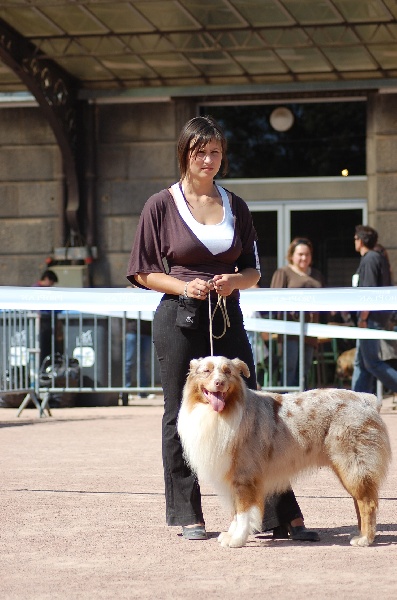 Tender red des Gardiens d'Hadès