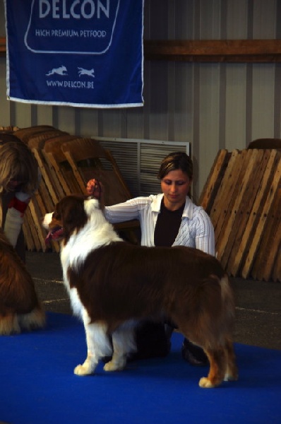 Indian Red Colours Cash