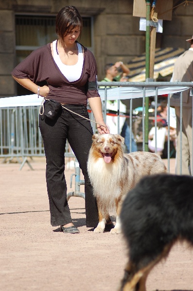 Tender red des Gardiens d'Hadès