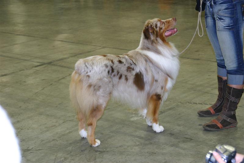 Tender red des Gardiens d'Hadès