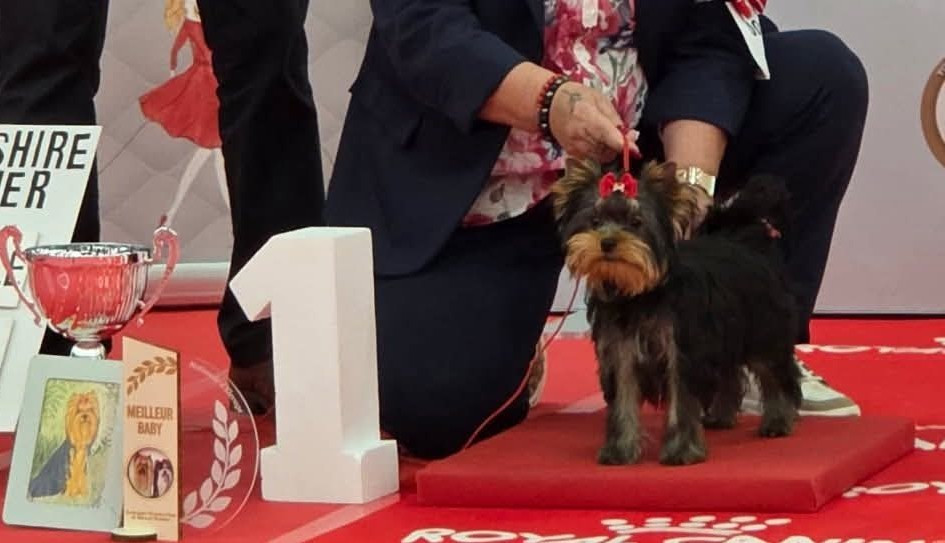 Adess de la légende des trolls