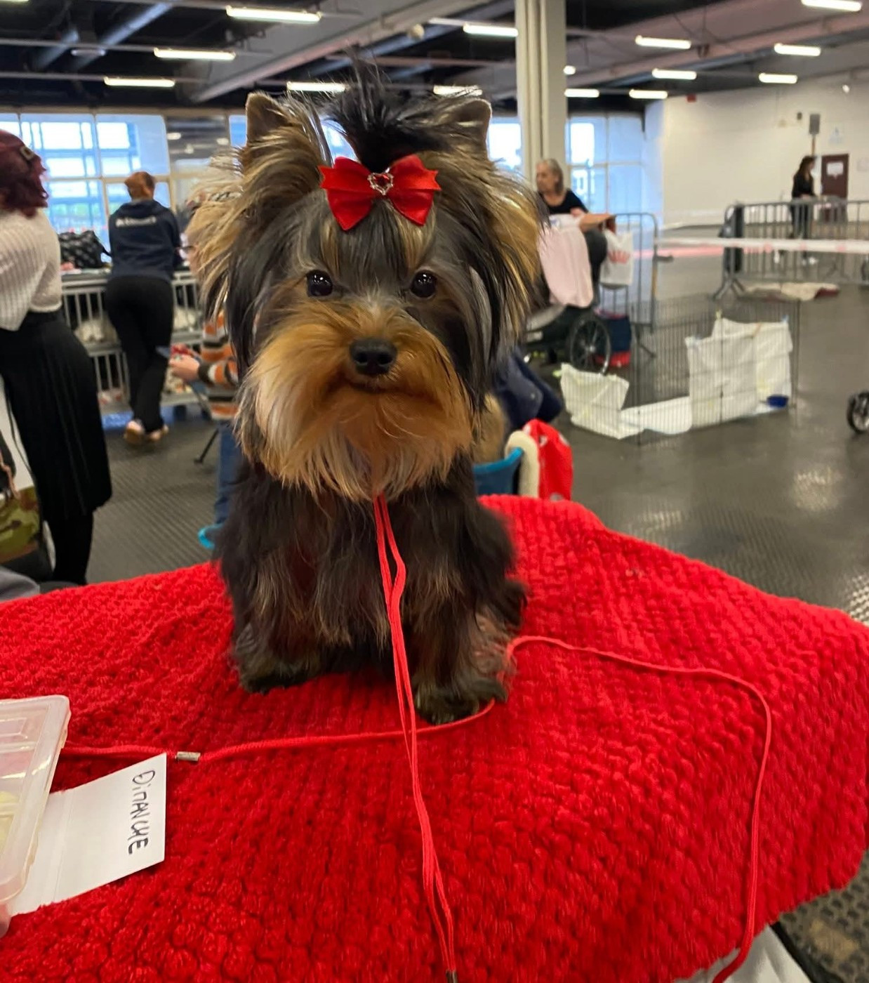 Adess de la légende des trolls