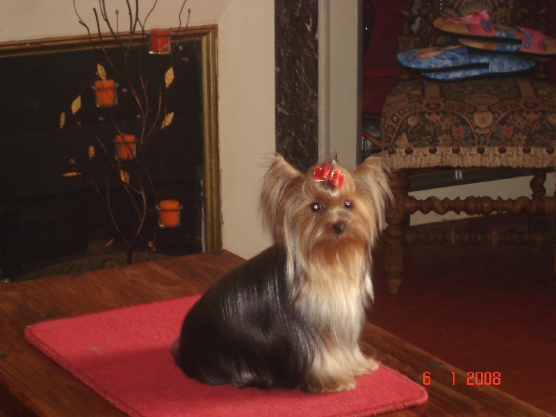 Publication : de la légende des trolls