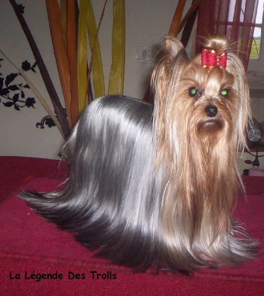 Publication : de la légende des trolls