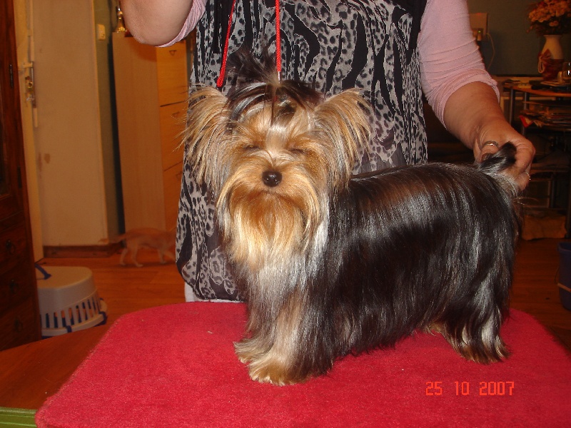 Publication : de la légende des trolls